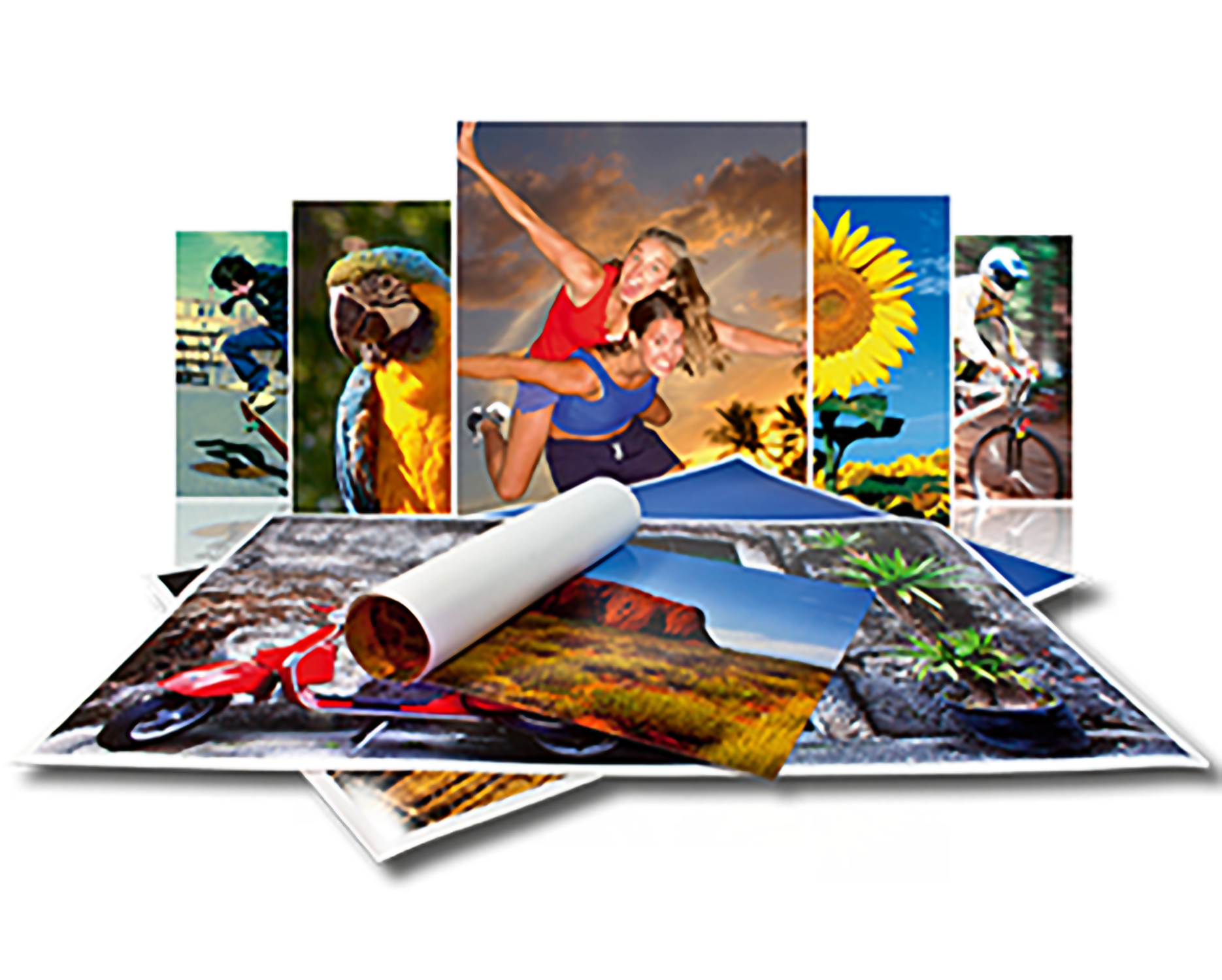 costco poster print sizes